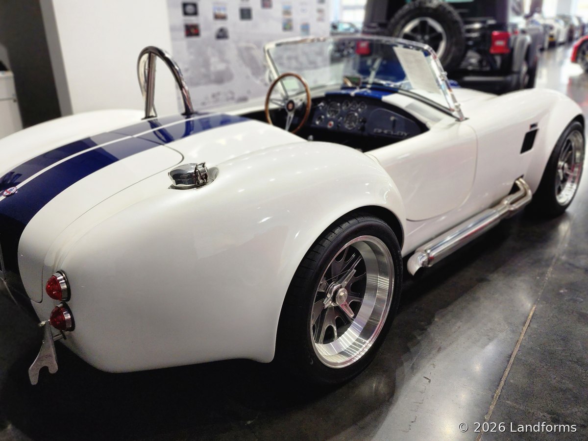 Cobra roadster